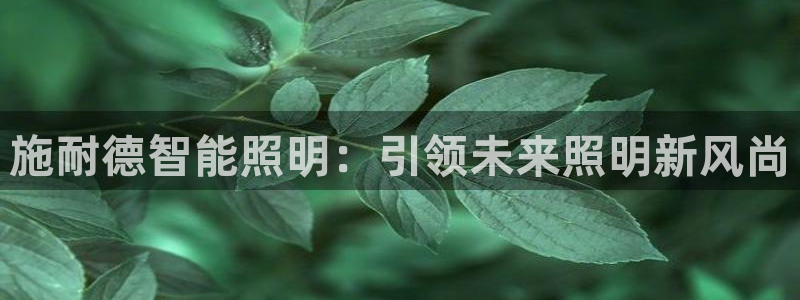 云顶国际公馆在哪个位置