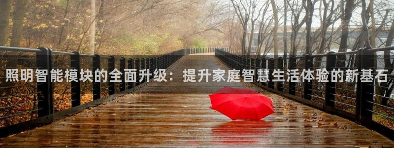 云顶国际服阵容
