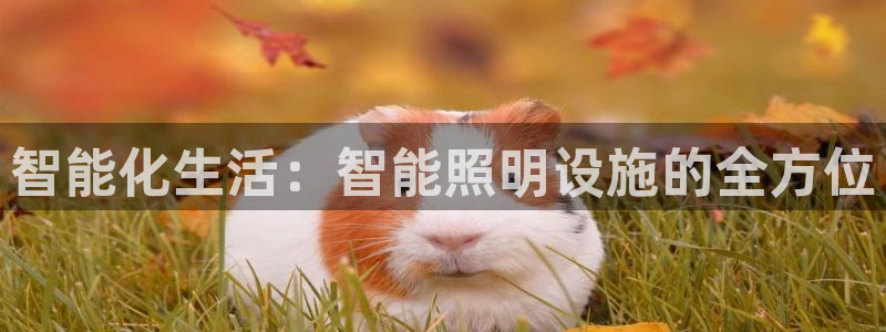 云顶国际贴吧