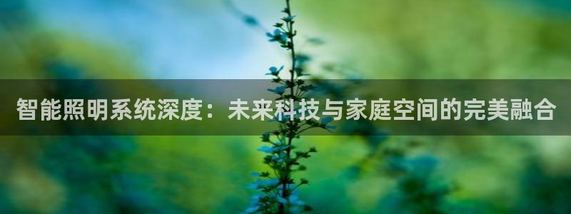 云顶国际app官方网站下载安装