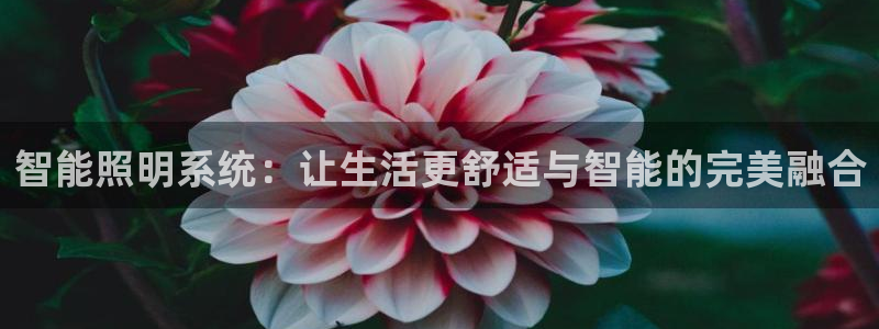 云顶国际唯一官方网站是哪个