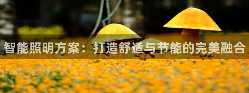 云顶国际麻将胡了多少张牌