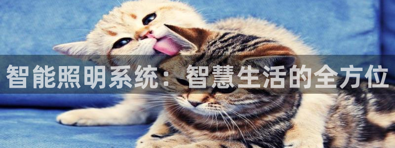 云顶国际集团发展有限公司国内项目总经理
