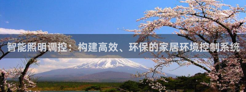云顶国际服在哪下载