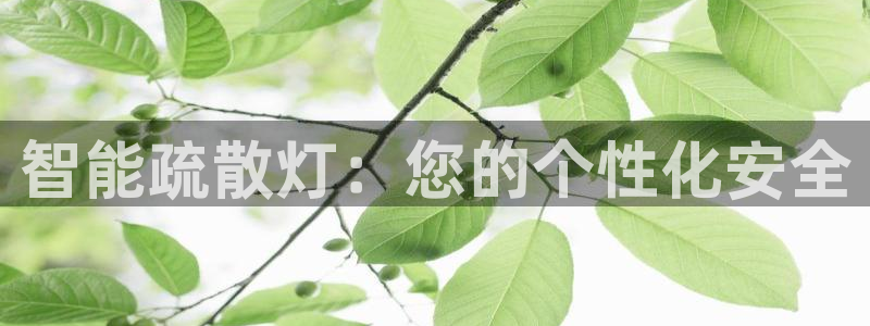 云顶国际酒店电话号码