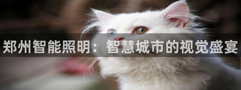 云顶国际大厦在哪里