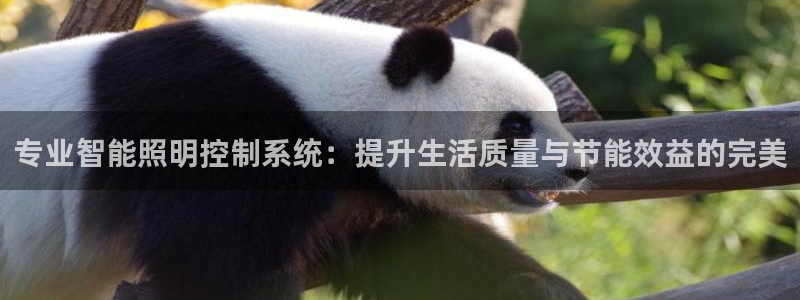 云顶国际服联机