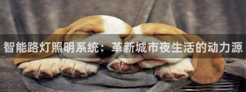 云顶国际黑网不出款了