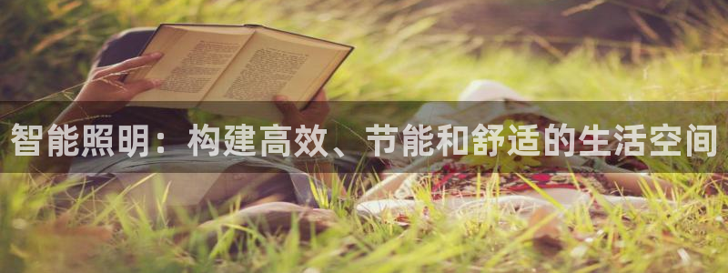 云顶集团官网登录入口网页版：智能照明：构