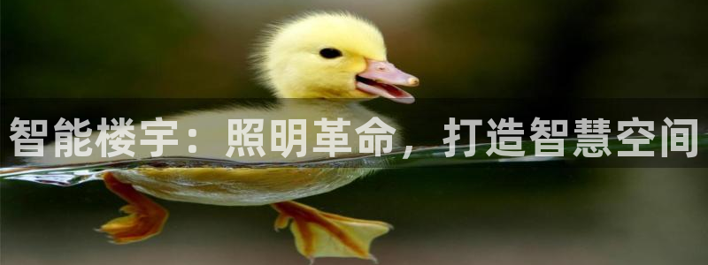 云顶国际app下载安卓