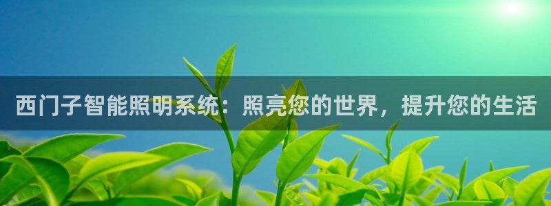 云顶国际教育