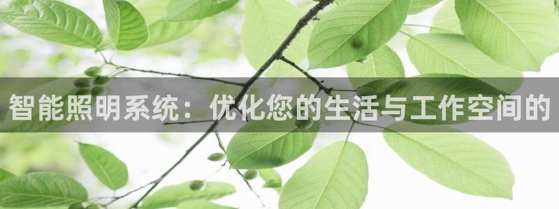 云顶国际前台电话号码