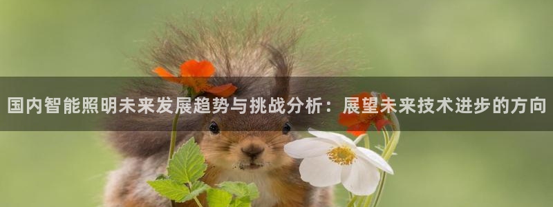 云顶国际黑网不出款了