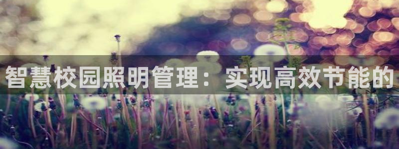 yd12300云顶线路(中国)有限公司